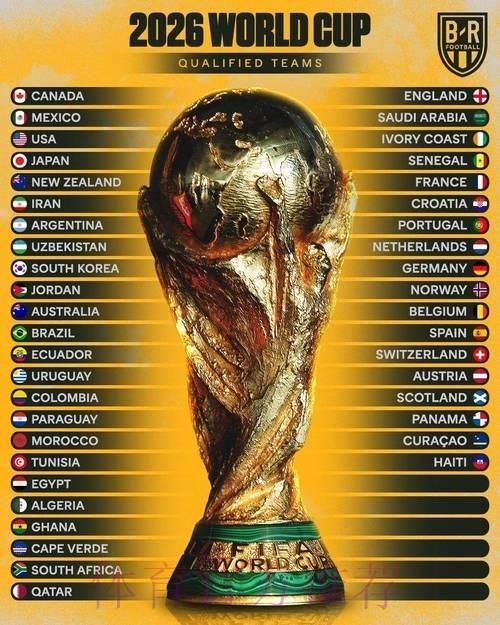 2026年世界杯官方赔率排名正式出炉